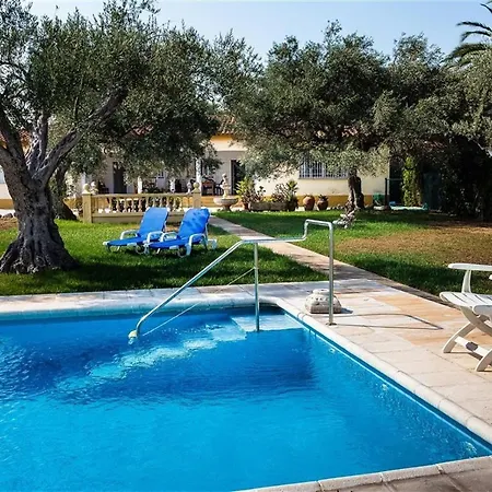 With Great Pool Dog Friendly