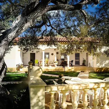 With Great Pool Dog Friendly * Vinaros