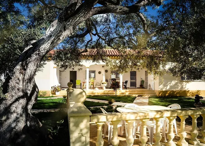 With Great Pool Dog Friendly * Vinarós