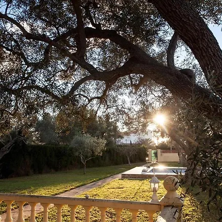 With Great Pool Dog Friendly Vinarós