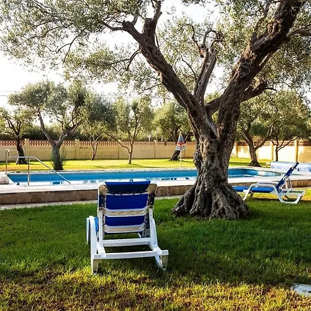 With Great Pool Dog Friendly Vinarós