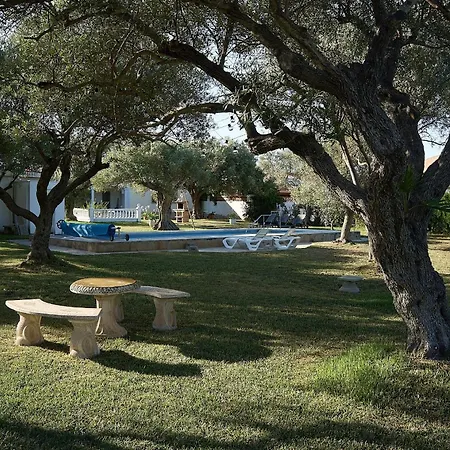 With Great Garden And Pool Vinarós